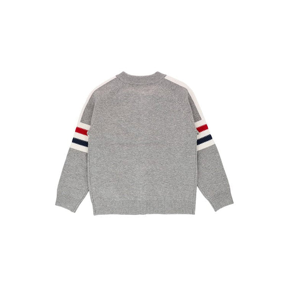 Dachshund Cardigan - Grey