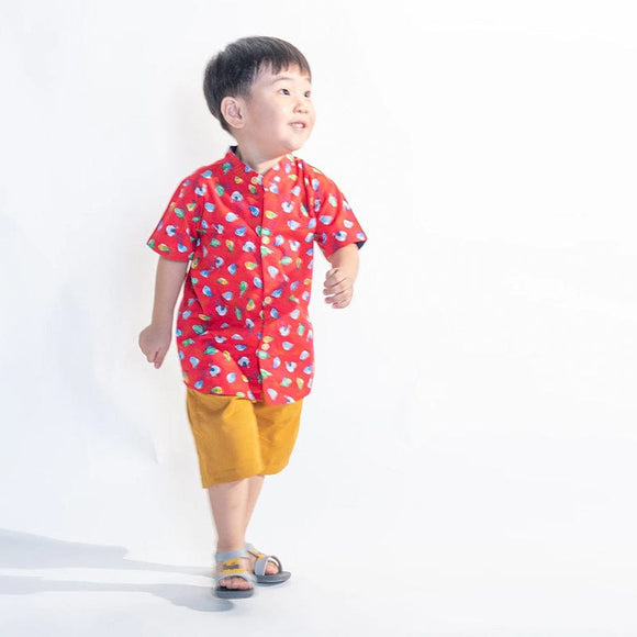 Mandarin Collar Boy Shirt - Little Birdies (Red)