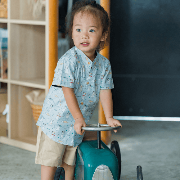 Boy Shirt Mandarin Collar - Playful Cats (Light Blue)