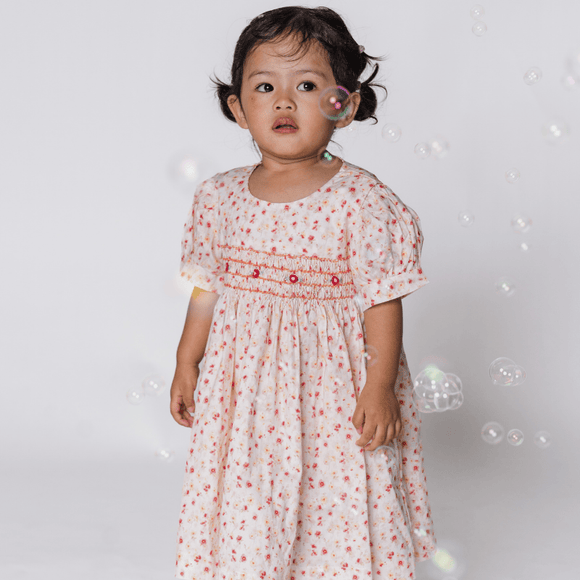 Baby Girl Dress Rosalie Fleur Smocked Dress