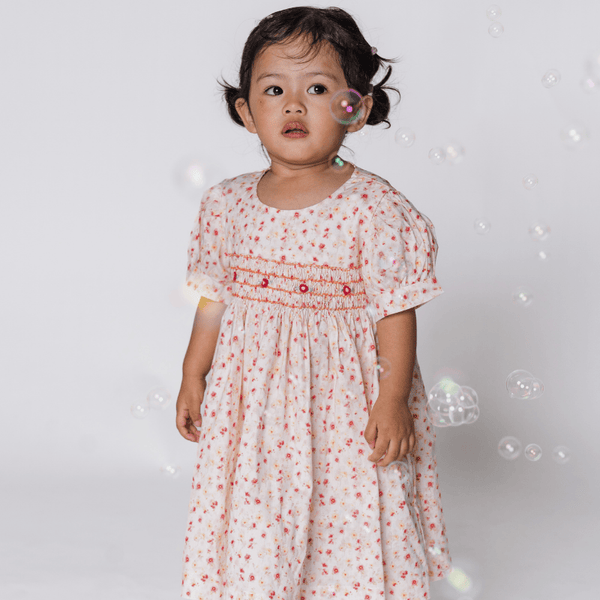 Baby Girl Dress Rosalie Fleur Smocked Dress