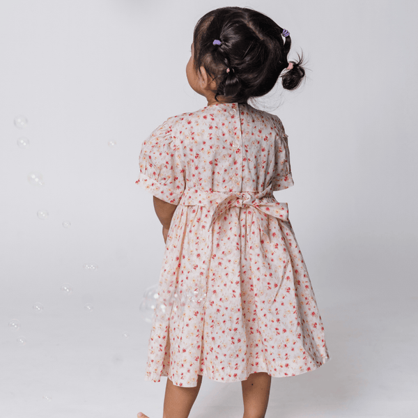 Baby Girl Dress Rosalie Fleur Smocked Dress