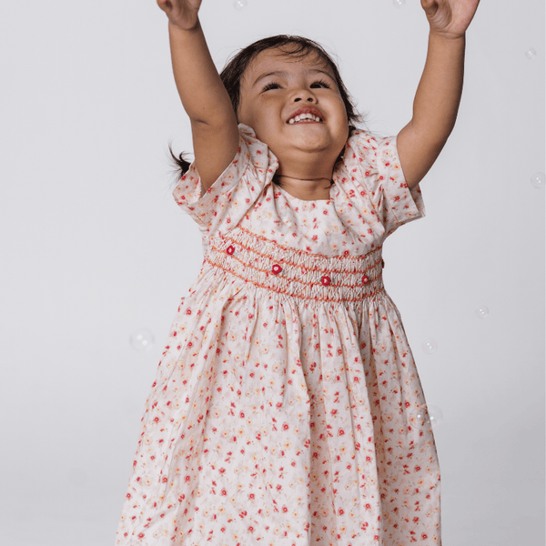 Baby Girl Dress Rosalie Fleur Smocked Dress