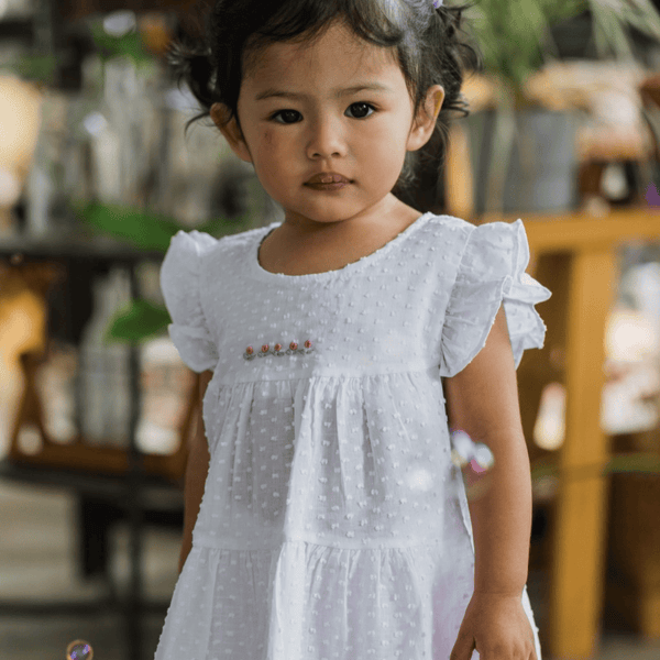 Baby Girl Dress Cristal Smocked Dress