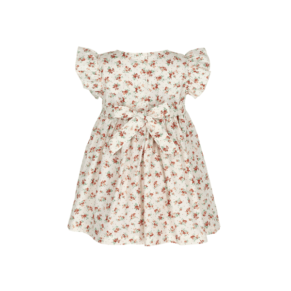 Baby Girl Dress Maisie Meadow Smocked Dress