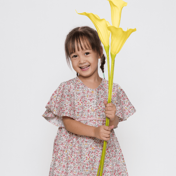Girl Dress Flutter Sleeve Button Down Mini Fleurs Dress - (Red)