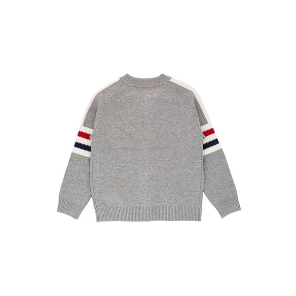 Dachshund Cardigan - Grey