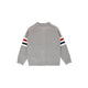 Dachshund Cardigan - Grey