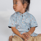 Boy Shirt Mandarin Collar - Playful Cats (Light Blue)