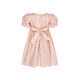 Baby Girl Dress Rosalie Fleur Smocked Dress