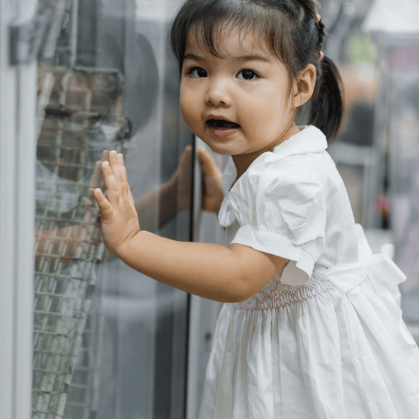 Baby Girl Smocked Collar Dress Sasha