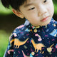 Mandarin Collar Shirt - Dino & Rainbow (Navy)