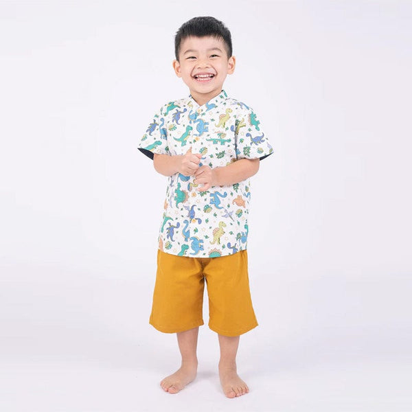 Mandarin Collar Boy Shirt - Dinosaurs & Stars