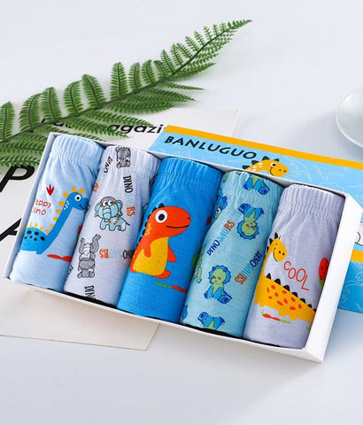 Happy Dinosaurs Cotton Briefs (5pc Pack)