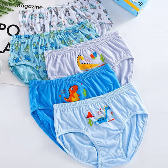 Happy Dinosaurs Cotton Briefs (5pc Pack)