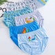 Happy Dinosaurs Cotton Briefs (5pc Pack)