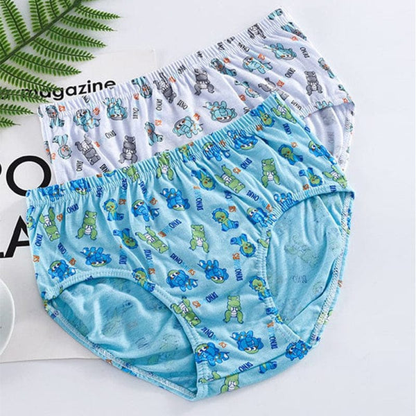 Happy Dinosaurs Cotton Briefs (5pc Pack)
