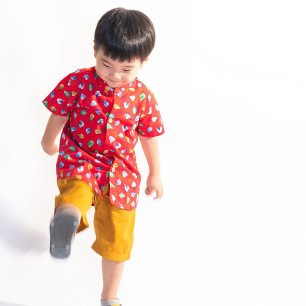 Mandarin Collar Boy Shirt - Little Birdies (Red)