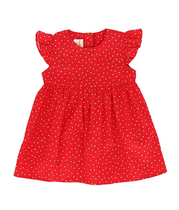 Petite Roses Baby Doll Dress (Red)