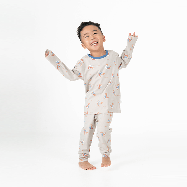 Fearsome Dinos Soft Cotton PJs