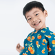 Boy Shirt Mandarin Collar - Tangerine (Green)