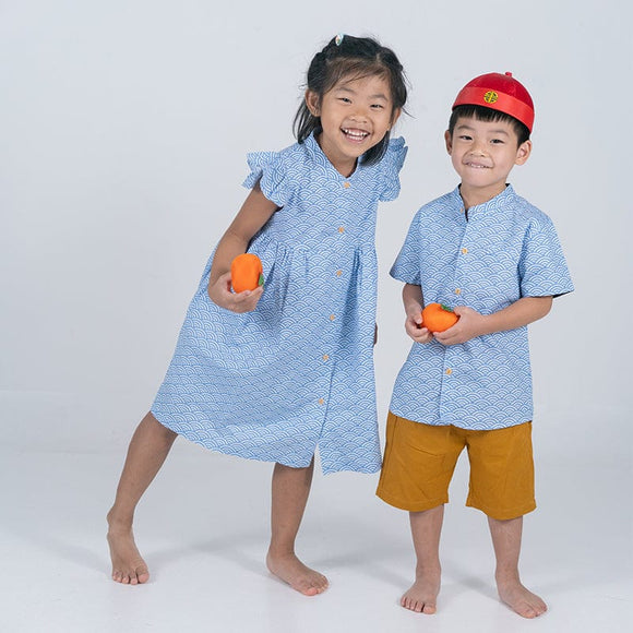 Ruffle Sleeve Button Down Japanese Wave Dress (Light Blue)